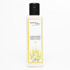 Sandalwood Moisturizer | Rich Hydrating Cream with Pure Sandalwood Oil, Glycerin, Oli - main image